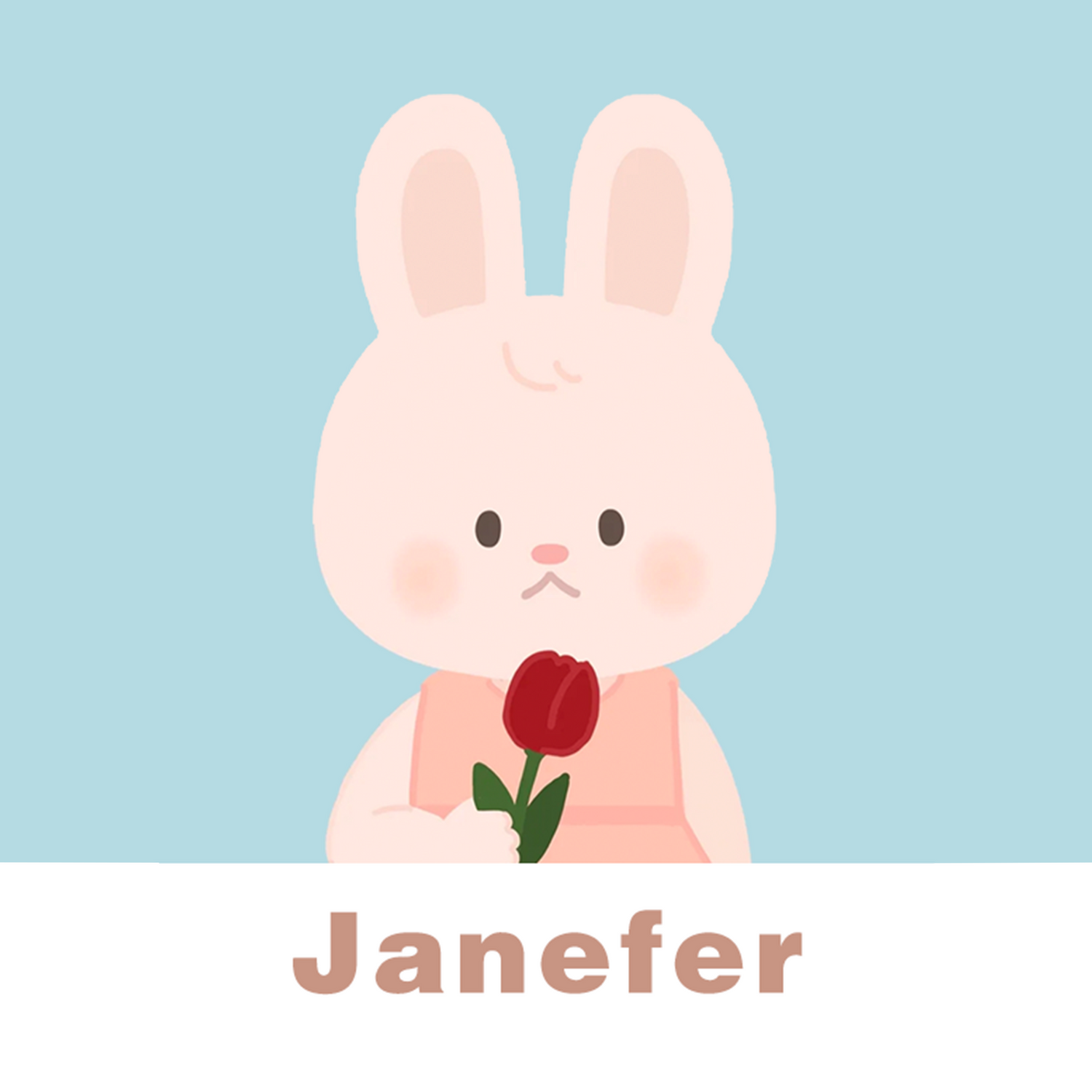 Janefer Rabbit Figurines